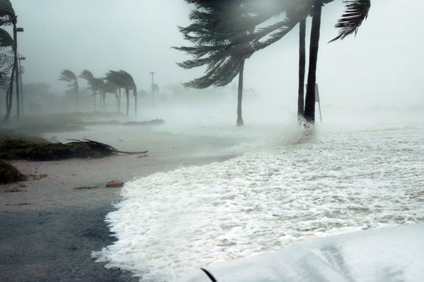 First-party insurance claims