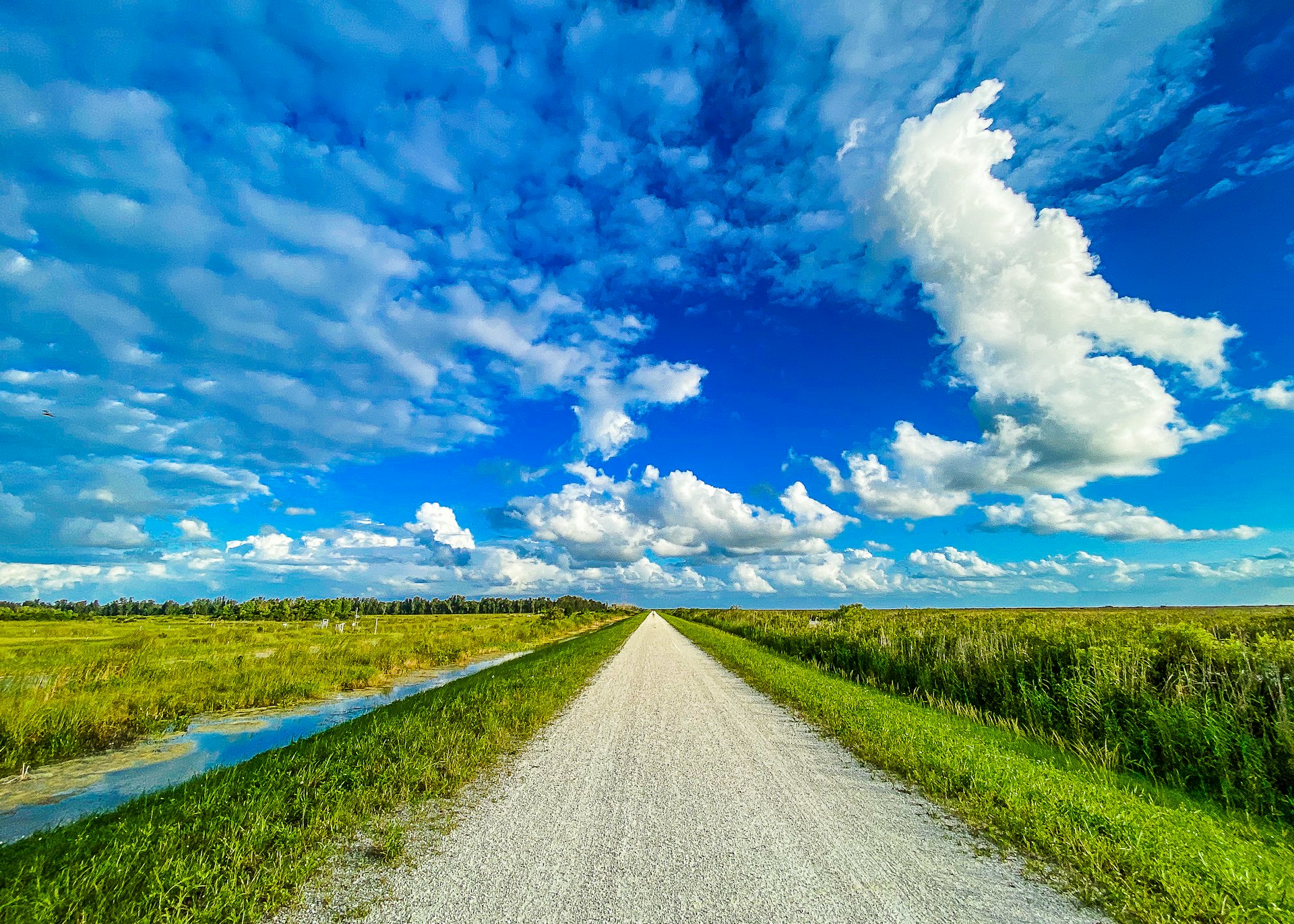 Rural road with grass and water in South Florida