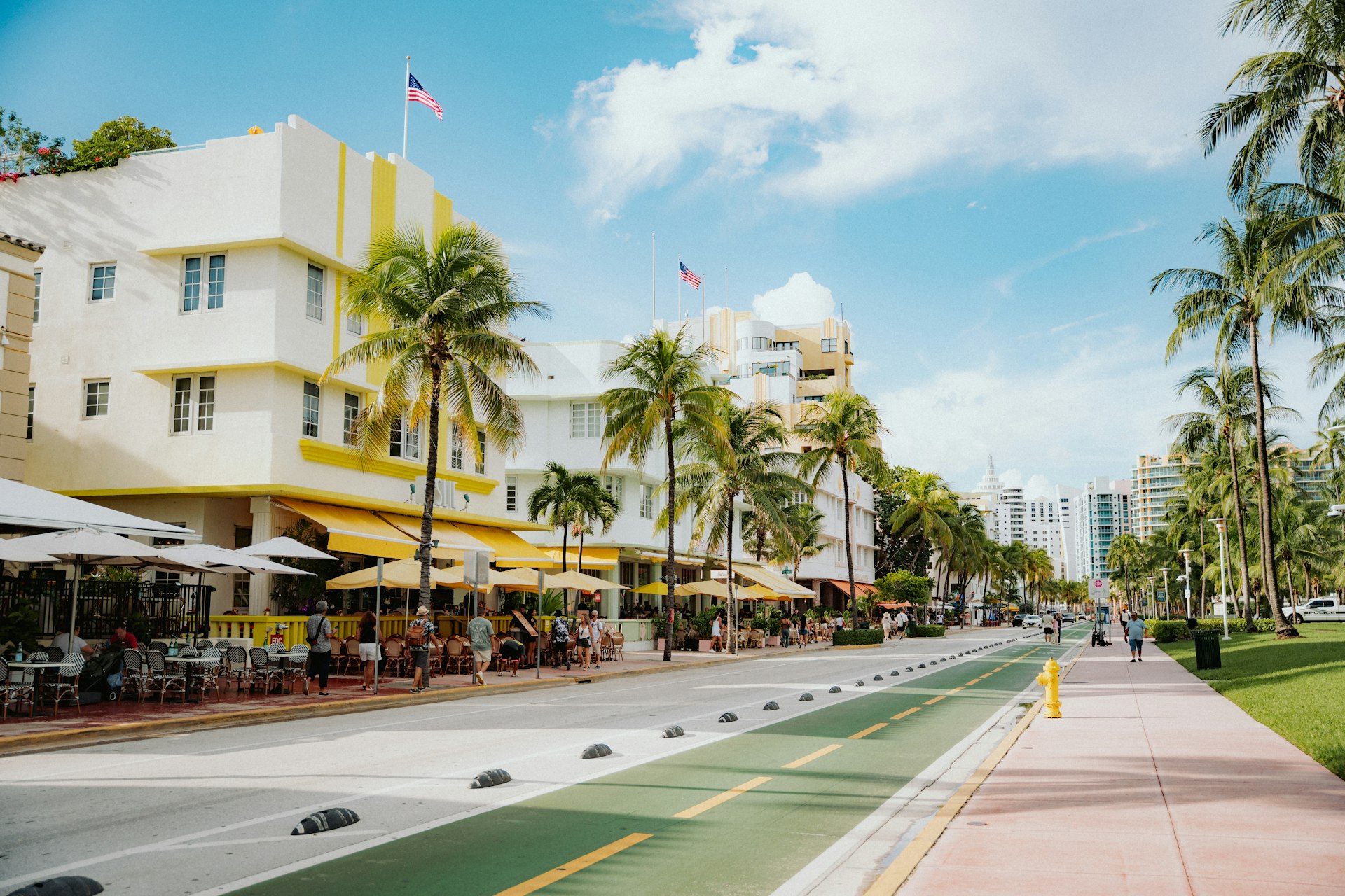 Tropical street with palm trees